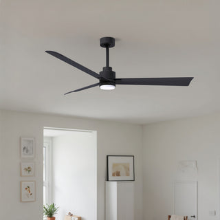 Alessandra - LK 56" Ceiling Fan in Matte Black