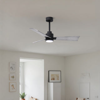 Alessandra - LK 42" Ceiling Fan in Matte Black