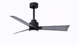 Matthews Fan Company - AKLK-BK-BW-42 - 42" Ceiling Fan - Alessandra - LK - Matte Black