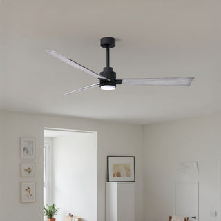 Alessandra - LK 56" Ceiling Fan in Matte Black