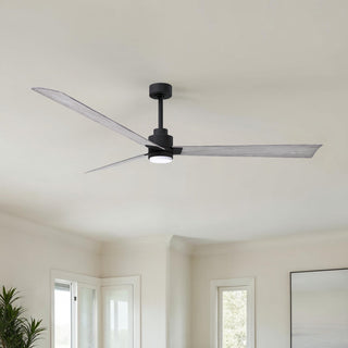 Alessandra - LK 72" Ceiling Fan in Matte Black