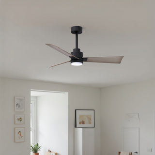 Alessandra - LK 42" Ceiling Fan in Matte Black