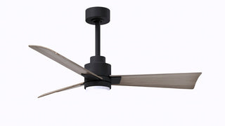 Matthews Fan Company - AKLK-BK-GA-42 - 42" Ceiling Fan - Alessandra - LK - Matte Black