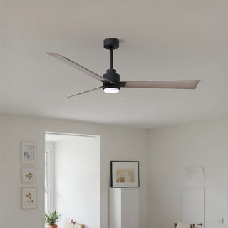 Alessandra - LK 56" Ceiling Fan in Matte Black