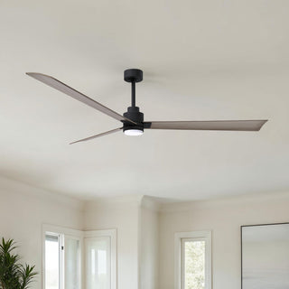 Alessandra - LK 72" Ceiling Fan in Matte Black
