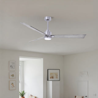 Alessandra - LK 56" Ceiling Fan in Brushed Nickel