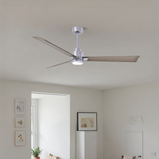 Alessandra - LK 56" Ceiling Fan in Brushed Nickel