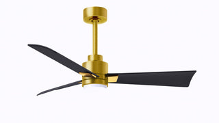 Matthews Fan Company - AKLK-BRBR-BK-42 - 42" Ceiling Fan - Alessandra - LK - Brushed Brass