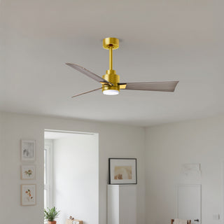 Alessandra - LK 42" Ceiling Fan in Brushed Brass