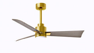 Matthews Fan Company - AKLK-BRBR-GA-42 - 42" Ceiling Fan - Alessandra - LK - Brushed Brass