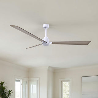 Alessandra 72" Ceiling Fan in Matte White