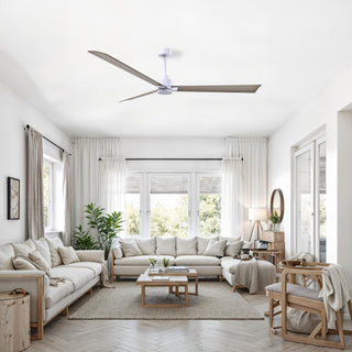 Alessandra 72" Ceiling Fan in Matte White