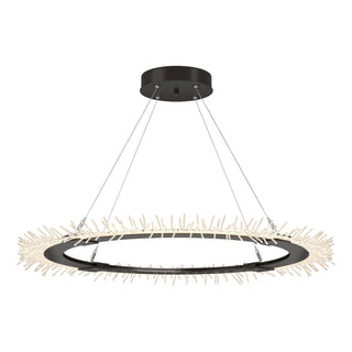 Hubbardton Forge - 139772-LED-STND-14 - Anemone Circular LED Pendant - Anemone - Oil Rubbed Bronze
