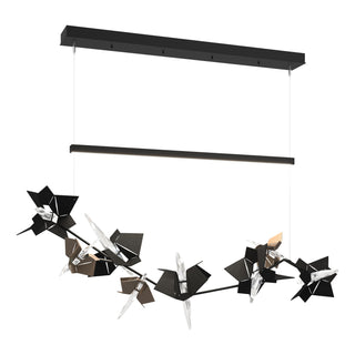 Hubbardton Forge - 139813-LED-STND-10-05-CR - Belladonna LED Pendant - Belladonna - Black