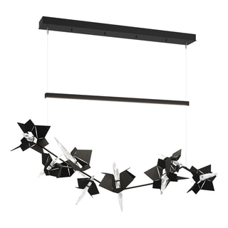 Hubbardton Forge - 139813-LED-STND-10-10-CR - Belladonna LED Pendant - Belladonna - Black