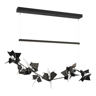 Hubbardton Forge - 139813-LED-STND-10-14-CR - Belladonna LED Pendant - Belladonna - Black