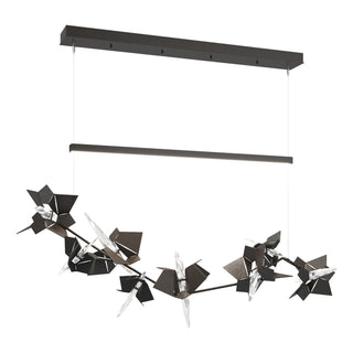 Hubbardton Forge - 139813-LED-STND-14-10-CR - Belladonna LED Pendant - Belladonna - Oil Rubbed Bronze