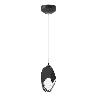 Hubbardton Forge - 161189-SKT-STND-10-BP0755 - Chrysalis 1-Light Large Pendant - Chrysalis - Black