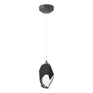 Hubbardton Forge - 161189-SKT-STND-20-BP0755 - Chrysalis 1-Light Large Pendant - Chrysalis - Natural Iron