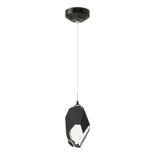 Hubbardton Forge - 161189-SKT-STND-89-BP0755 - Chrysalis 1-Light Large Pendant - Chrysalis - Ink