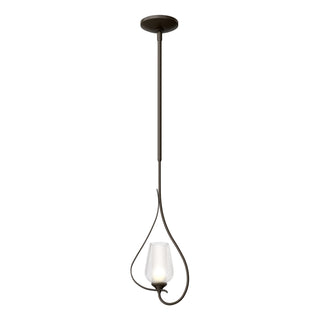 Hubbardton Forge - 183050-SKT-MULT-07-ZS0354 - Flora Up Light Mini Pendant - Flora - Dark Smoke
