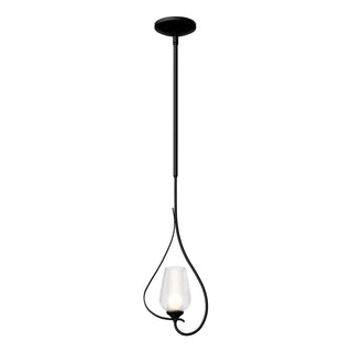 Hubbardton Forge - 183050-SKT-MULT-10-ZS0354 - Flora Up Light Mini Pendant - Flora - Black