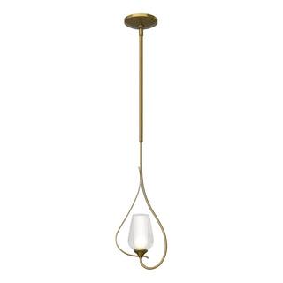 Hubbardton Forge - 183050-SKT-MULT-86-ZS0354 - Flora Up Light Mini Pendant - Flora - Modern Brass
