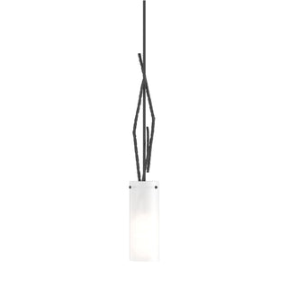 Hubbardton Forge - 186670-SKT-MULT-10-GG0336 - Brindille Mini Pendant - Brindille - Black