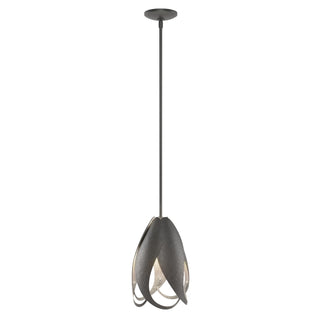 Hubbardton Forge - 188770-SKT-MULT-10 - Pental Mini Pendant - Pental - Black