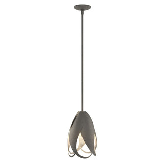 Hubbardton Forge - 188770-SKT-MULT-20 - Pental Mini Pendant - Pental - Natural Iron