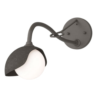 Hubbardton Forge - 201376-SKT-07-07-GG0711 - Brooklyn 1-Light Single Shade Long-Arm Sconce - Brooklyn - Dark Smoke