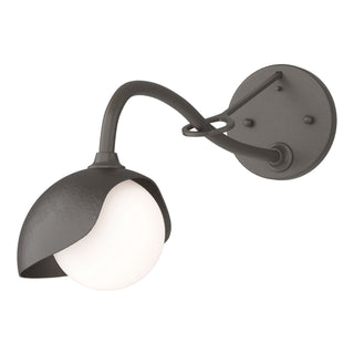 Hubbardton Forge - 201376-SKT-07-14-GG0711 - Brooklyn 1-Light Single Shade Long-Arm Sconce - Brooklyn - Dark Smoke