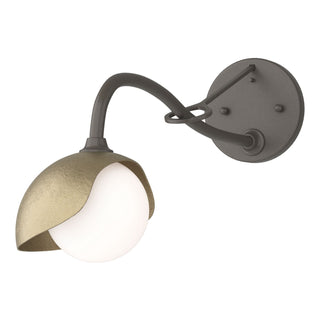 Hubbardton Forge - 201376-SKT-07-84-GG0711 - Brooklyn 1-Light Single Shade Long-Arm Sconce - Brooklyn - Dark Smoke