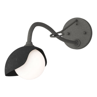 Hubbardton Forge - 201376-SKT-20-10-GG0711 - Brooklyn 1-Light Single Shade Long-Arm Sconce - Brooklyn - Natural Iron