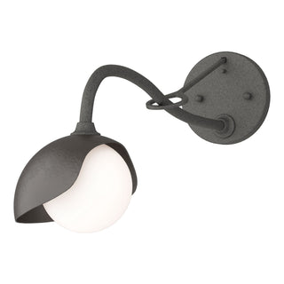 Hubbardton Forge - 201376-SKT-20-14-GG0711 - Brooklyn 1-Light Single Shade Long-Arm Sconce - Brooklyn - Natural Iron