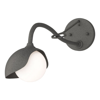 Hubbardton Forge - 201376-SKT-20-20-GG0711 - Brooklyn 1-Light Single Shade Long-Arm Sconce - Brooklyn - Natural Iron