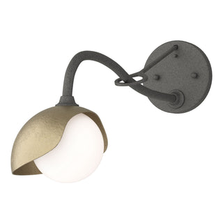 Hubbardton Forge - 201376-SKT-20-84-GG0711 - Brooklyn 1-Light Single Shade Long-Arm Sconce - Brooklyn - Natural Iron