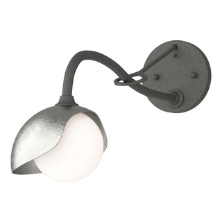Hubbardton Forge - 201376-SKT-20-85-GG0711 - Brooklyn 1-Light Single Shade Long-Arm Sconce - Brooklyn - Natural Iron