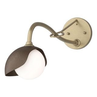 Hubbardton Forge - 201376-SKT-84-05-GG0711 - Brooklyn 1-Light Single Shade Long-Arm Sconce - Brooklyn - Soft Gold
