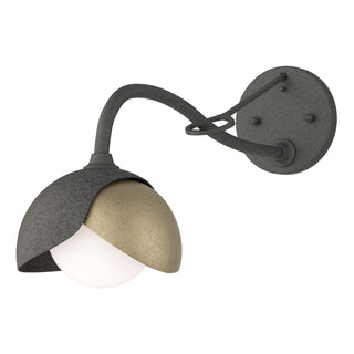 Hubbardton Forge - 201377-SKT-20-84-GG0711 - Brooklyn 1-Light Double Shade Long-Arm Sconce - Brooklyn - Natural Iron