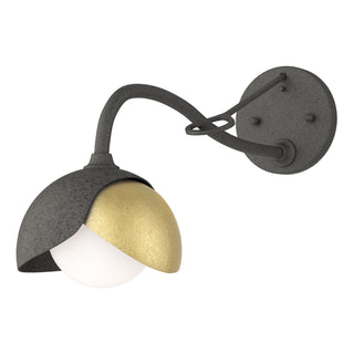 Hubbardton Forge - 201377-SKT-20-86-GG0711 - Brooklyn 1-Light Double Shade Long-Arm Sconce - Brooklyn - Natural Iron