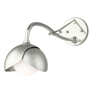 Hubbardton Forge - 201377-SKT-85-85-GG0711 - Brooklyn 1-Light Double Shade Long-Arm Sconce - Brooklyn - Sterling