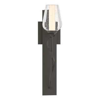 Hubbardton Forge - 203030-SKT-07-ZS0354 - Flora Sconce - Flora - Dark Smoke