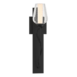 Hubbardton Forge - 203030-SKT-10-ZS0354 - Flora Sconce - Flora - Black