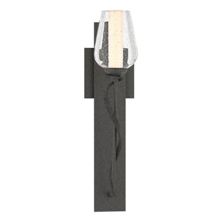 Hubbardton Forge - 203030-SKT-20-ZS0354 - Flora Sconce - Flora - Natural Iron