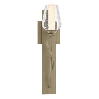 Hubbardton Forge - 203030-SKT-84-ZS0354 - Flora Sconce - Flora - Soft Gold