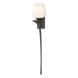 Hubbardton Forge - 204710-SKT-LFT-20-GG0236 - Antasia Single Glass 1 Light Sconce - Antasia - Natural Iron