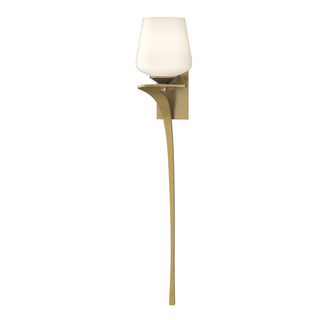 Hubbardton Forge - 204710-SKT-LFT-86-GG0236 - Antasia Single Glass 1 Light Sconce - Antasia - Modern Brass