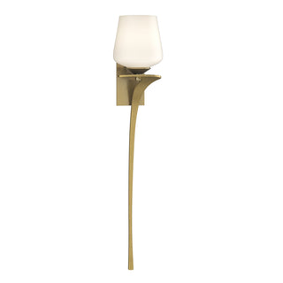 Hubbardton Forge - 204710-SKT-RGT-86-GG0236 - Antasia Single Glass 1 Light Sconce - Antasia - Modern Brass
