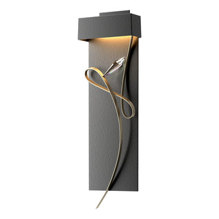 Hubbardton Forge - 205440-LED-10-84-CR - Rhapsody LED Sconce - Rhapsody - Black